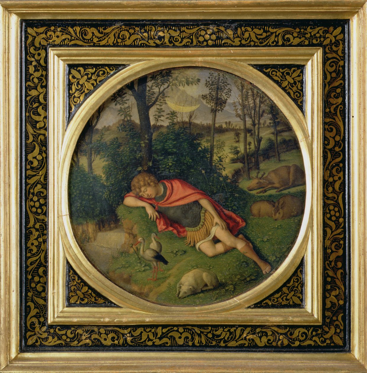 Endymion nukkuu tekijältä Giovanni Battista Cima da Conegliano