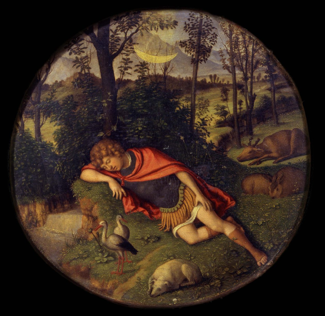 Sleeping Endymion, 1505-1508 tekijältä Giovanni Battista Cima da Conegliano