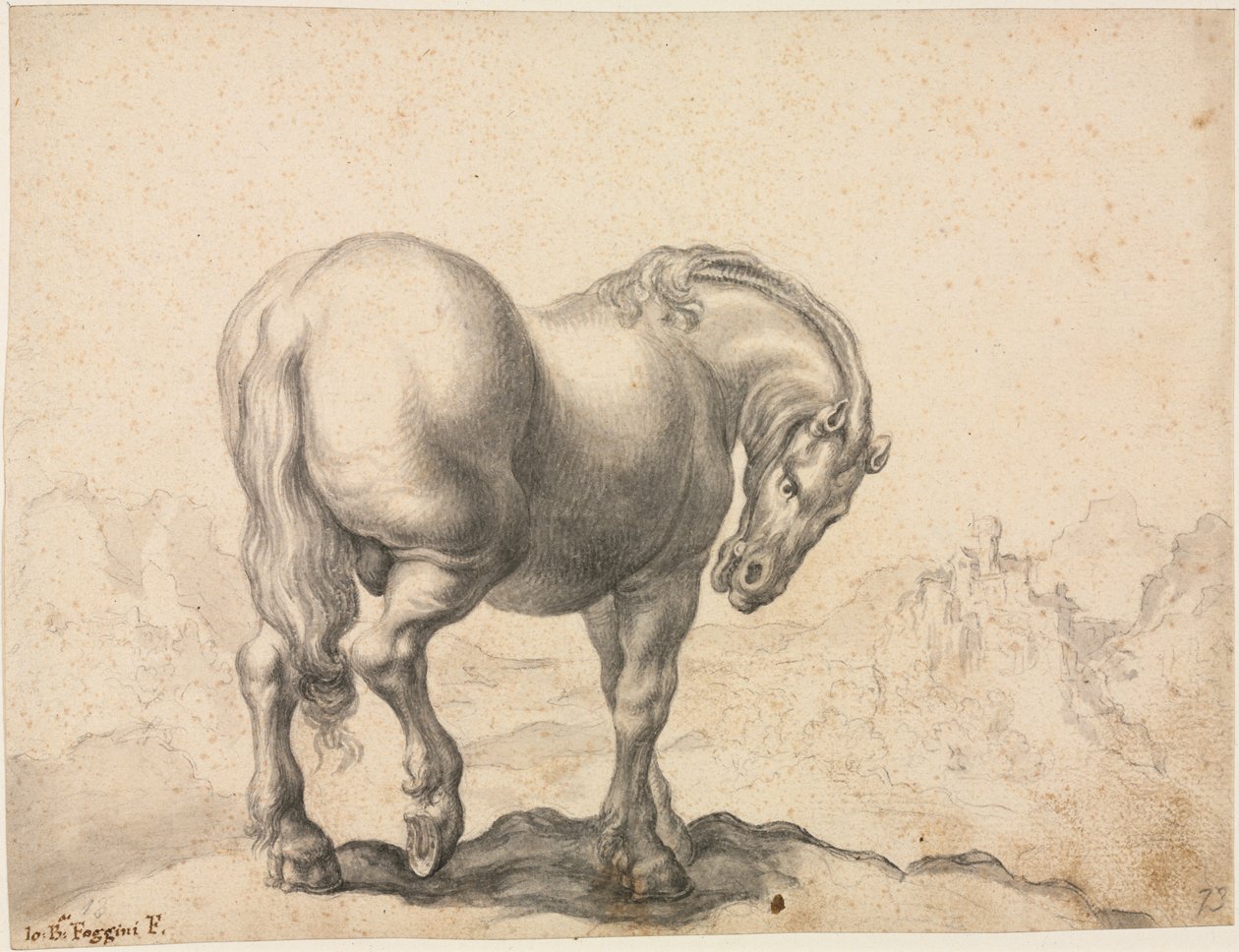 Oritutkimus, ensimmäinen kolmas 1700-luku. tekijältä Giovanni Battista Foggini