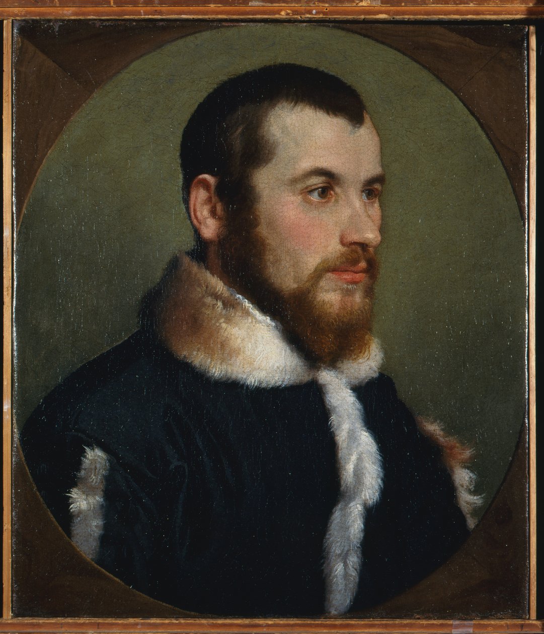Nuoren miehen muotokuva, n. 1560 (öljy kankaalle) tekijältä Giovanni Battista Moroni