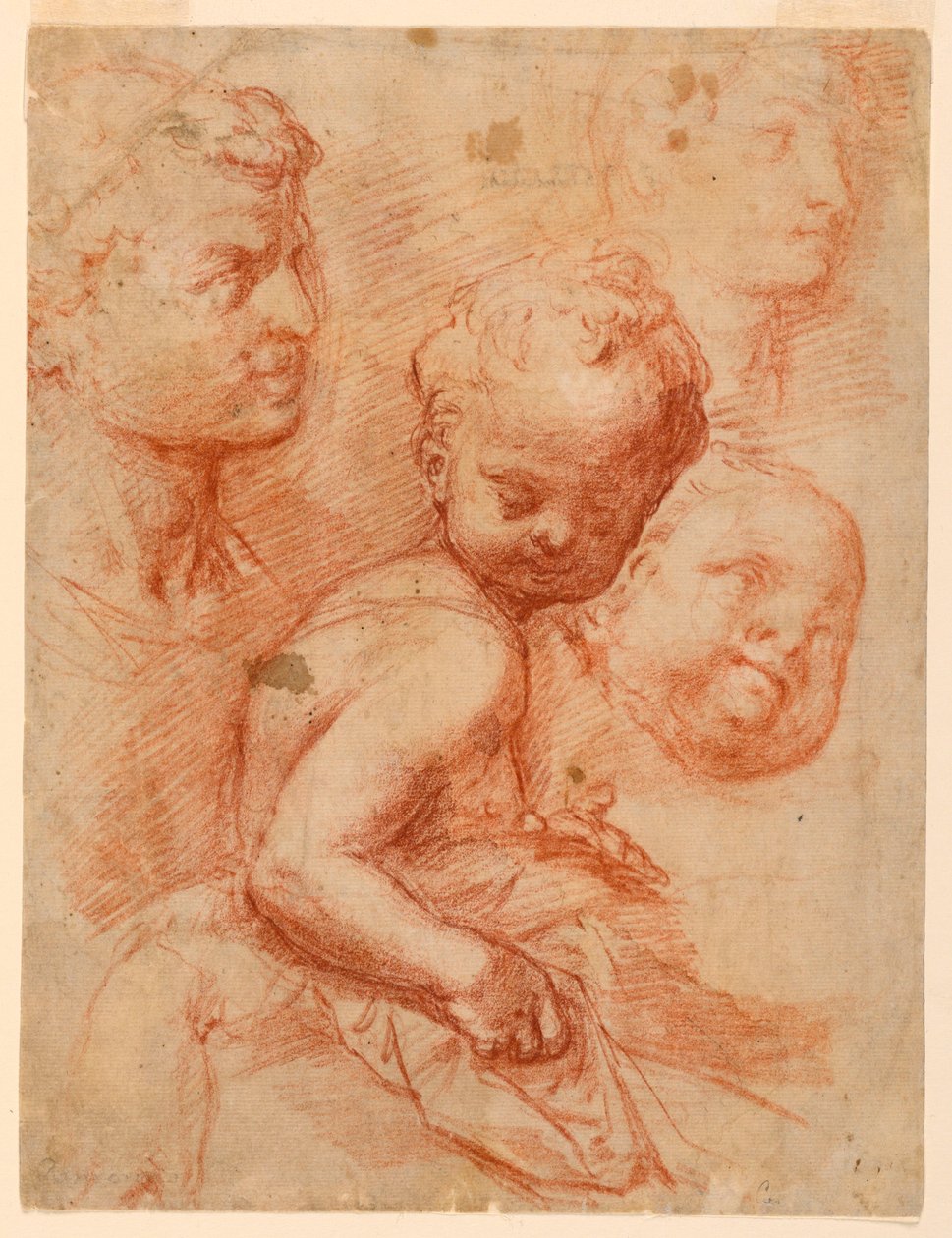 Piirustus, Tutkimus miehen, naisen ja lapsen päistä, istuva lapsi, n. 1570 tekijältä Giovanni Battista Naldini