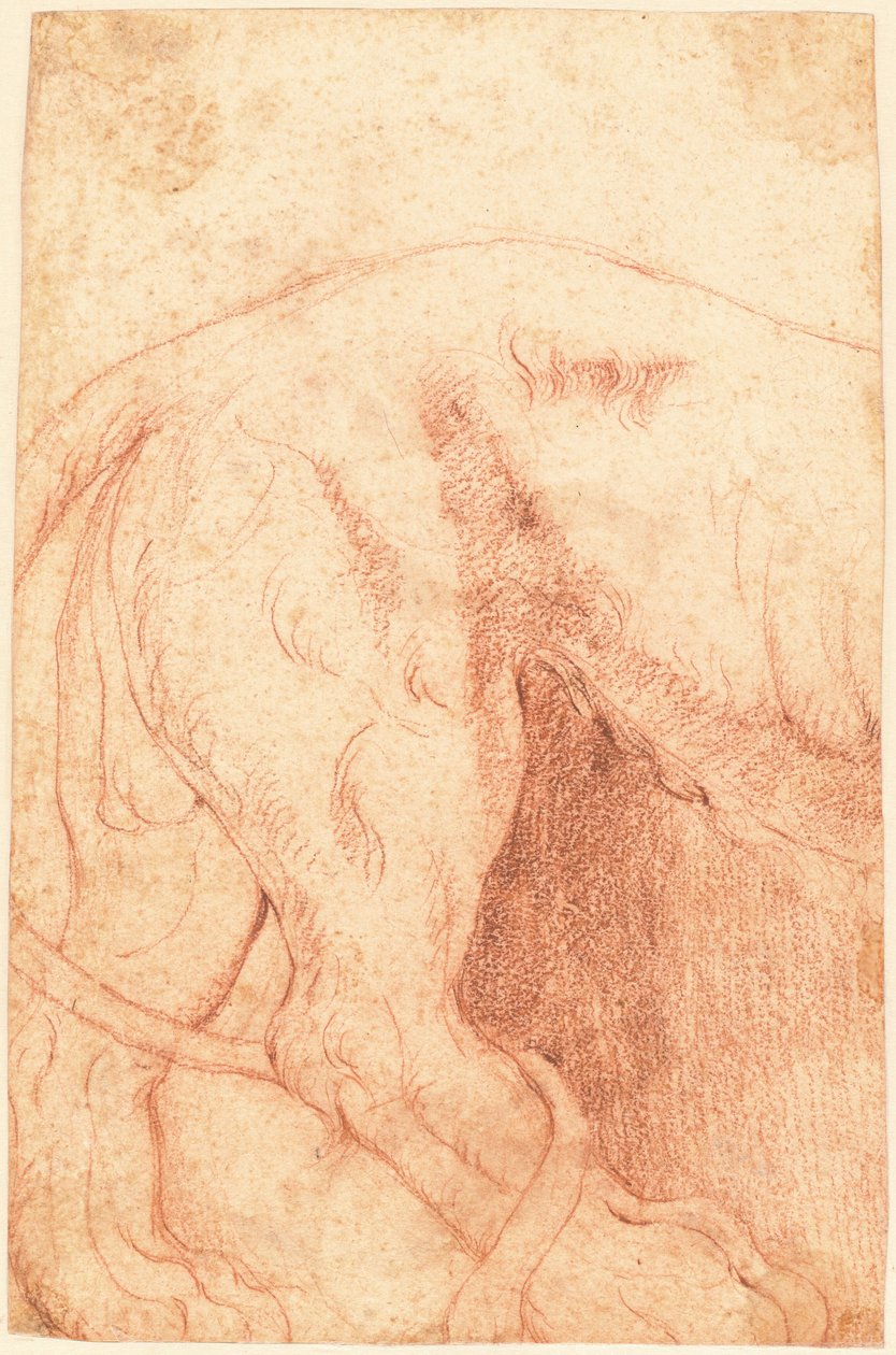 Fragmentti leijona-reliefistä (käänteinen) tekijältä Giovanni Battista Piranesi