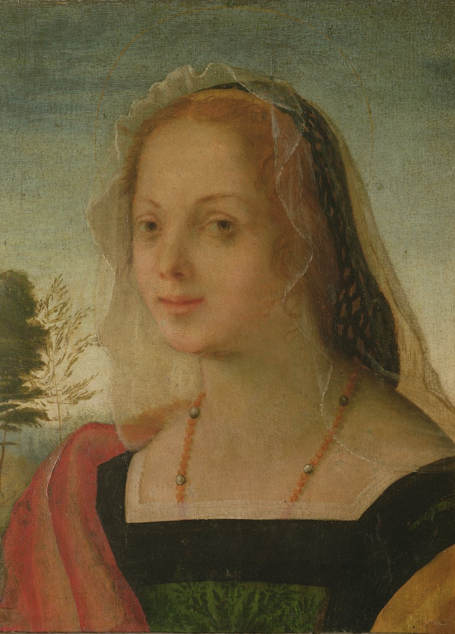 Nuoren tytön muotokuva (tempera paneelille) tekijältä Giovanni Battista Rosso Fiorentino