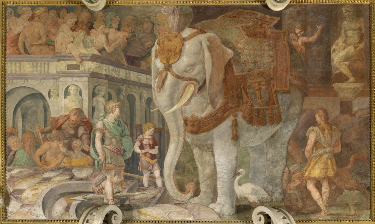 Kuninkaallinen elefantti tekijältä Giovanni Battista Rosso Fiorentino
