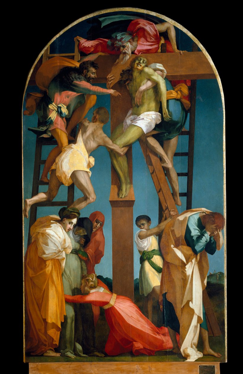 Tuntematon kuva tekijältä Giovanni Battista Rosso Fiorentino