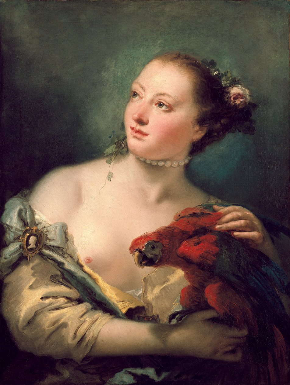 Nuori nainen, jolla on ara, 1760-luvun lopulla tekijältä Giovanni Battista Tiepolo