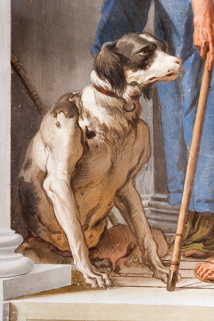 Koira, yksityiskohta Kreikan laivastosta Aulisissa, Palazzinan sisääntuloaulassa, 1757 tekijältä Giovanni Battista Tiepolo