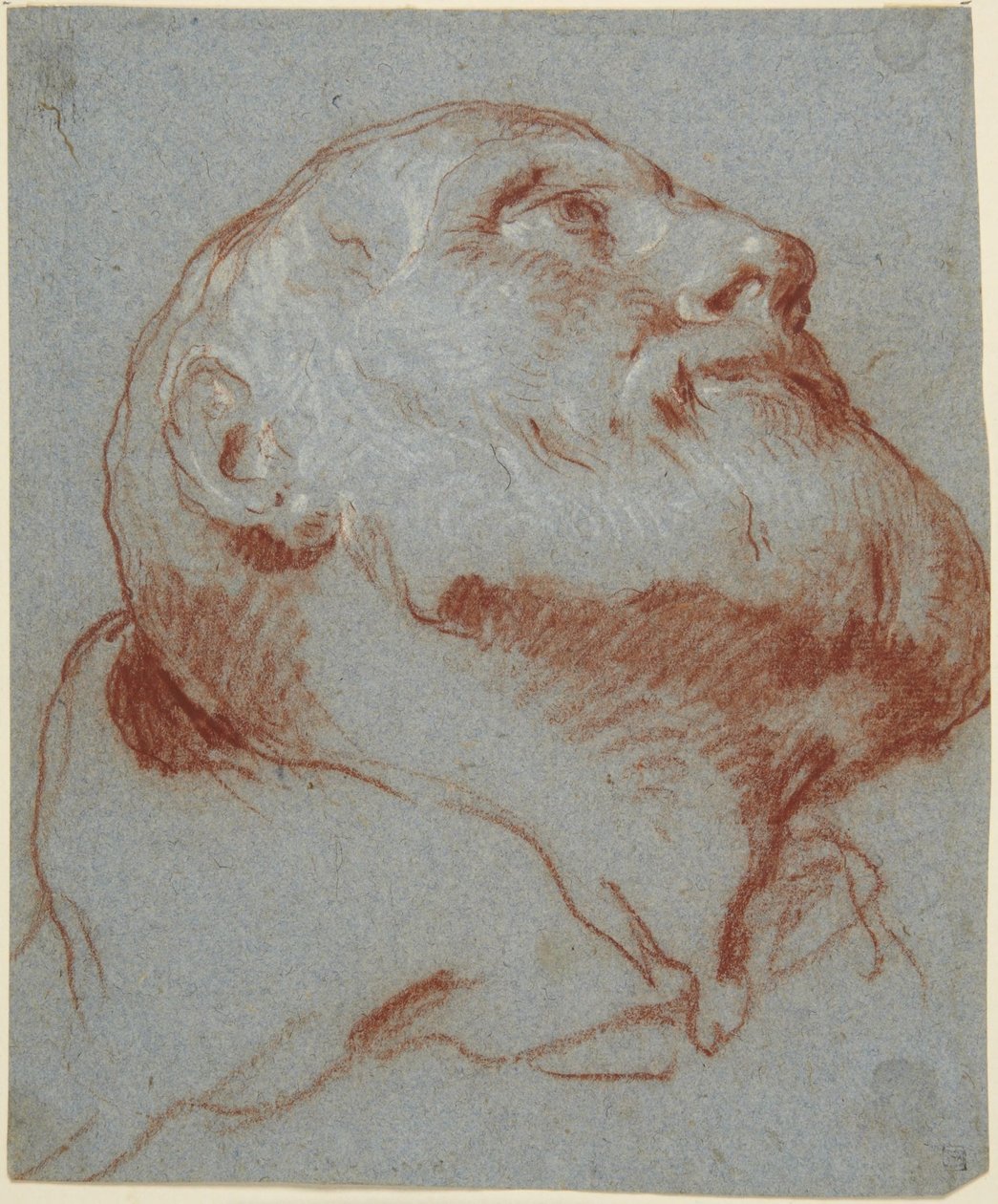Parrakkaan miehen pää alhaalta nähtynä ja ylöspäin katsovana tekijältä Giovanni Battista Tiepolo