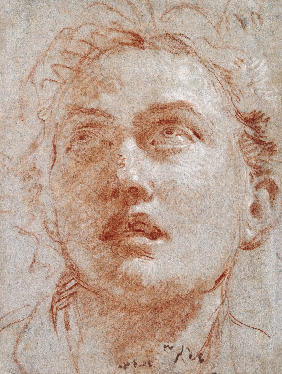 Miehen pää, joka katsoo ylös, tekijältä Giovanni Battista Tiepolo