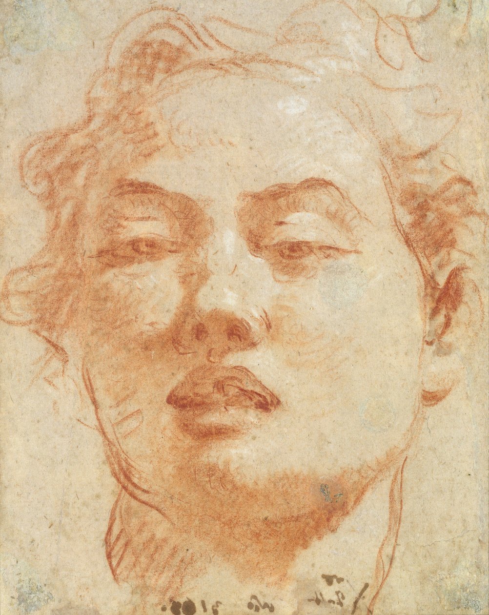 Nuoren miehen pää (punainen ja valkoinen liitu paperille) tekijältä Giovanni Battista Tiepolo