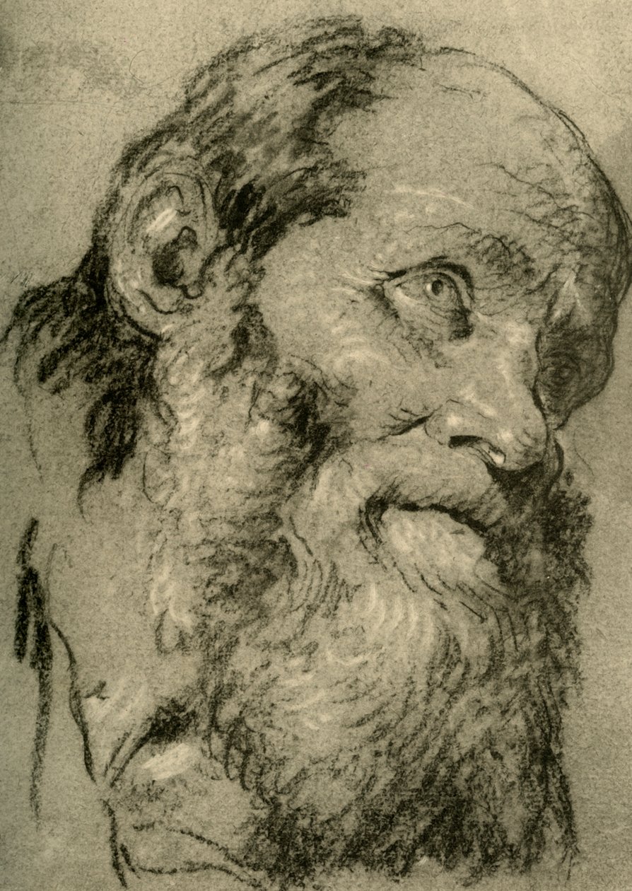 Vanhan miehen pää, 1755, 1928 tekijältä Giovanni Battista Tiepolo