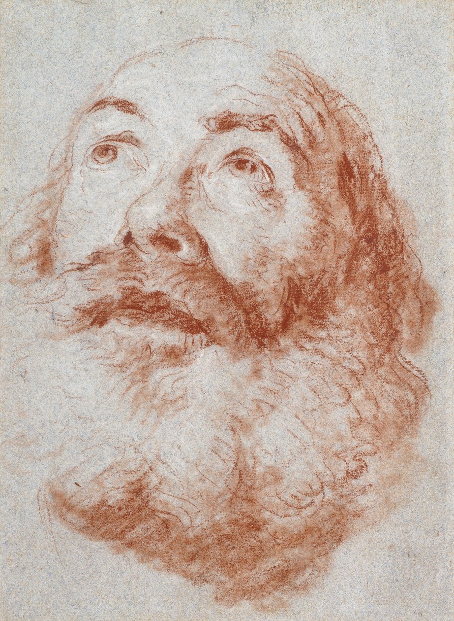 Vanhan miehen pää, joka katsoo ylös, tekijältä Giovanni Battista Tiepolo