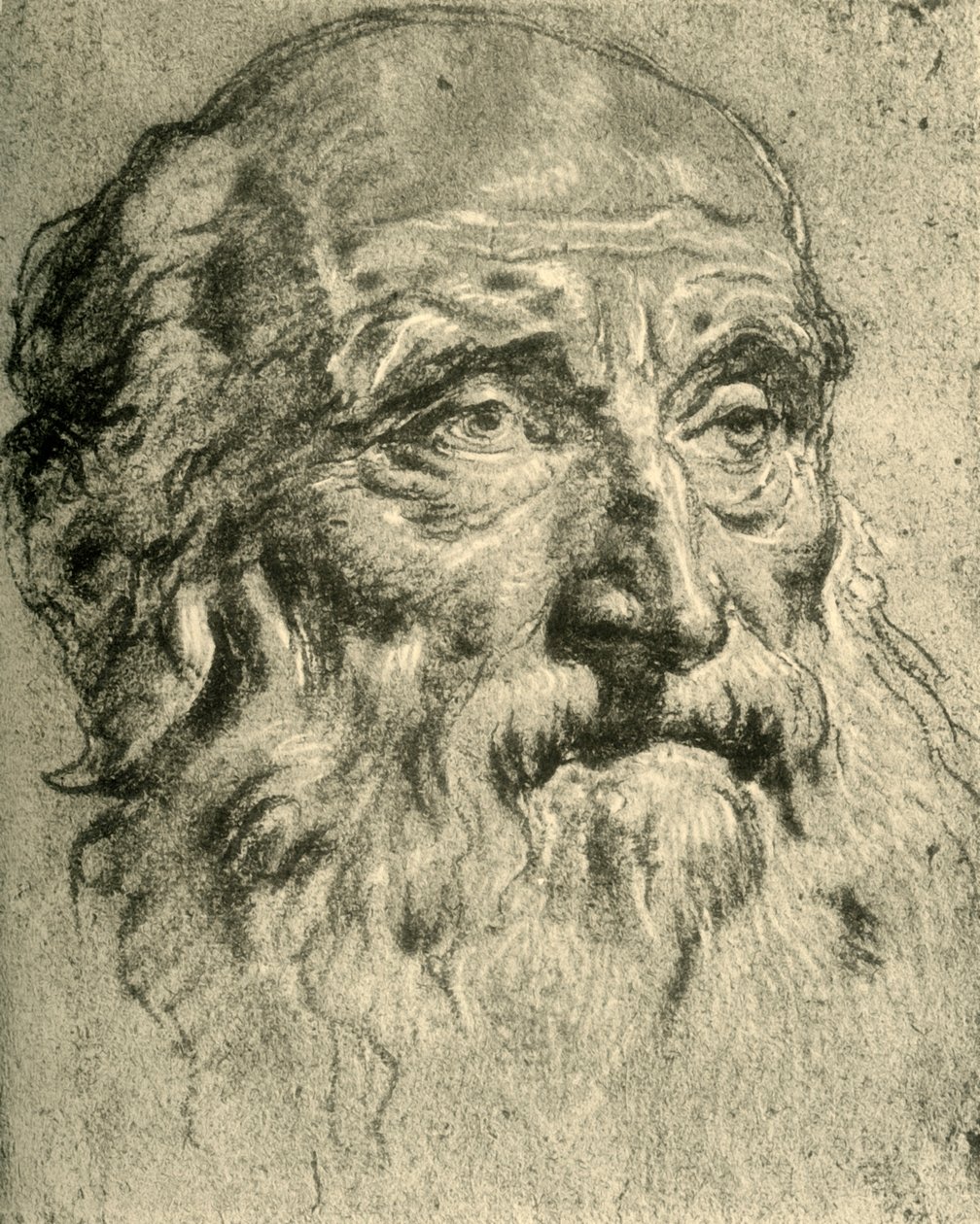 Vanhan miehen pää, 1700-luvun puoliväli, 1928 tekijältä Giovanni Battista Tiepolo