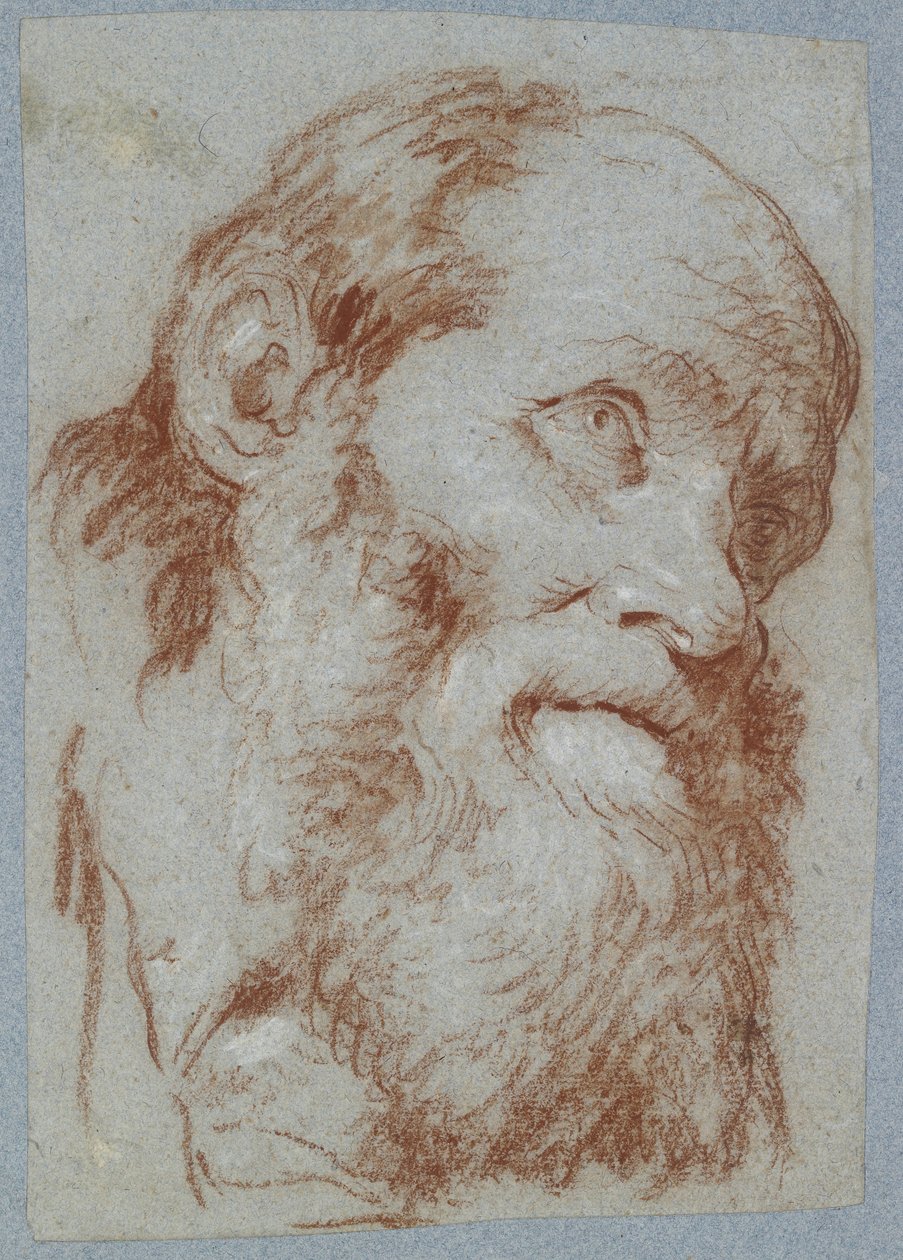 Vanhan parrakkaan miehen pää (punaliitu, valkoisella kosketettu, haalistuneelle harmaan siniselle paperille). tekijältä Giovanni Battista Tiepolo