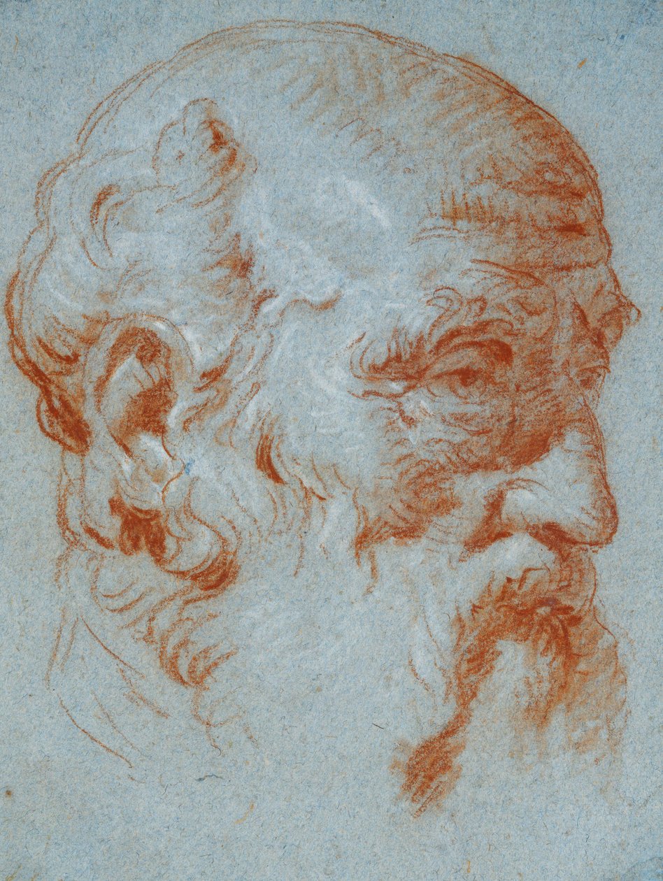 Tutkimus Giulio Contarinin rintakuvasta katsottuna vasemmalta tekijältä Giovanni Battista Tiepolo