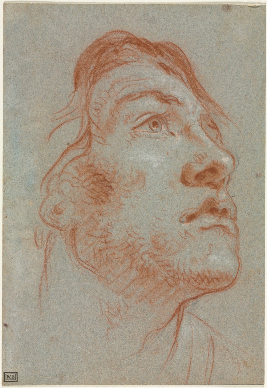 Nuoren miehen pää, joka katsoo ylöspäin oikealle, ennen vuotta 1752. tekijältä Giovanni Battista Tiepolo