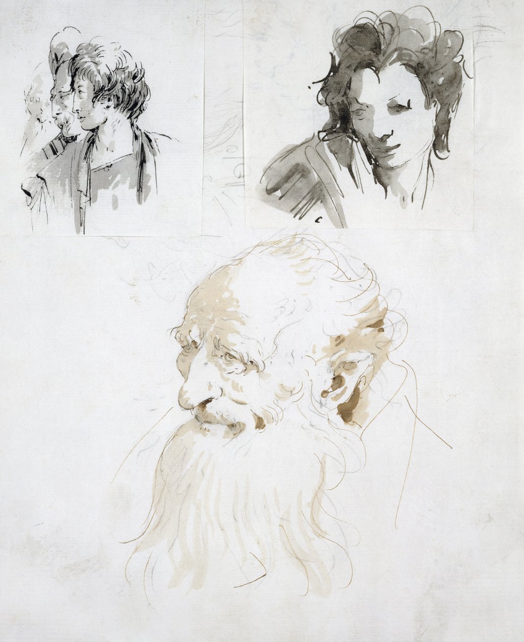Kolme tutkimusta päistä (kynä, muste ja pesu paperille) tekijältä Giovanni Battista Tiepolo