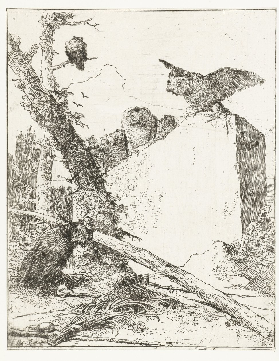 Otsikkoprintti Scherzi di fantasialle pöllöillä lähellä kiveä Scherzi di fantasia (sarjan nimi) tekijältä Giovanni Battista Tiepolo