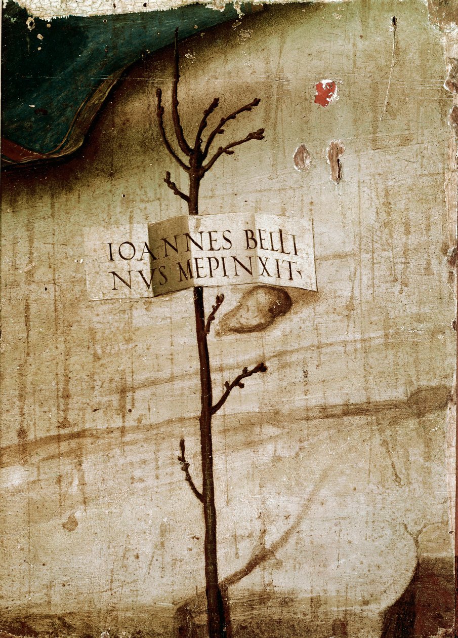 Pikku puu ja kortteli. Yksityiskohta (tempera paneelissa tekijältä Giovanni Bellini
