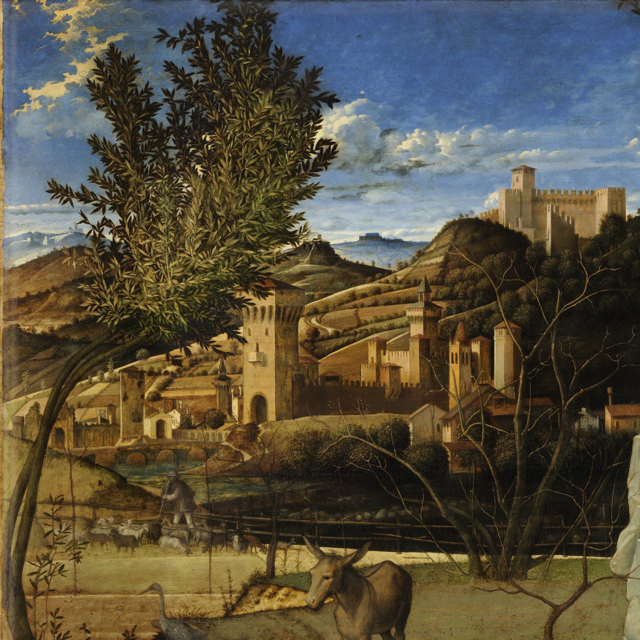 Pyhä Fransiskus erämaassa tekijältä Giovanni Bellini