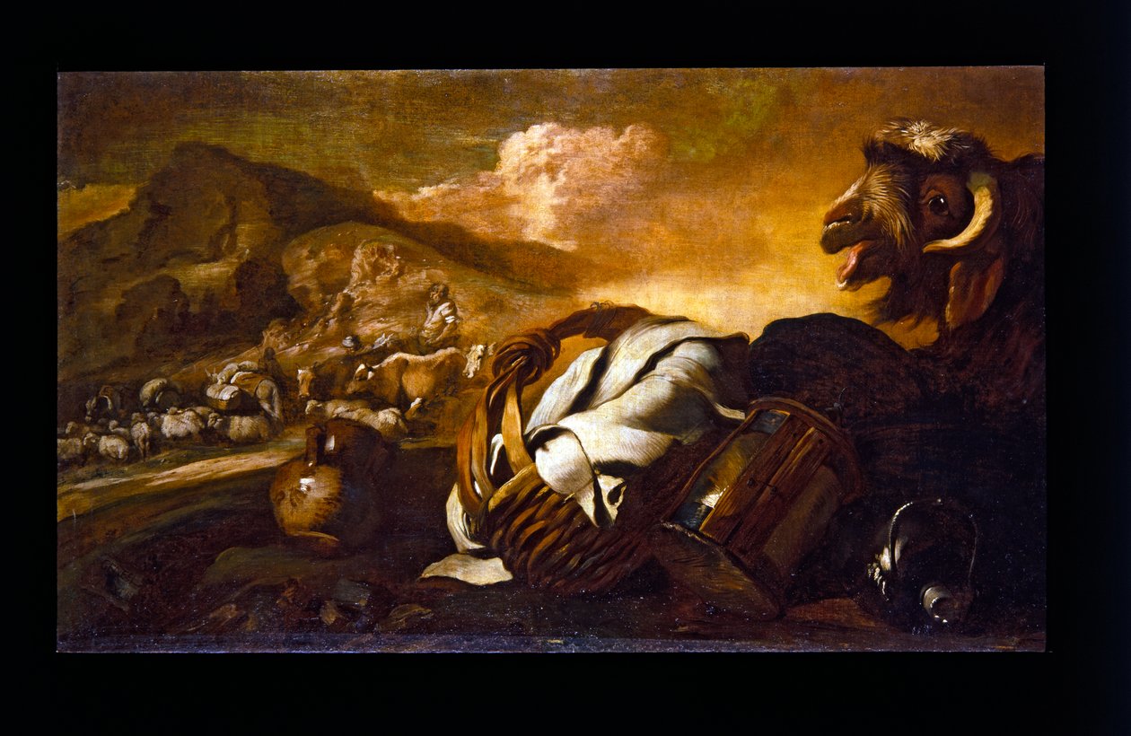 Asetelma vuohen kanssa tekijältä Giovanni Benedetto (1609 64) Castiglione