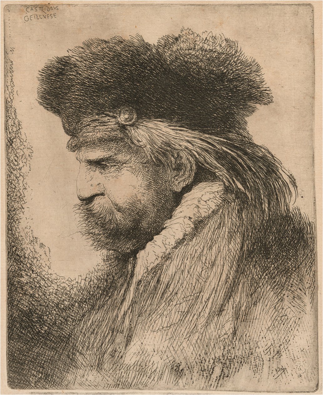 Parrakas mies turkislakissa, kasvot vasemmalle tekijältä Giovanni Benedetto Castiglione