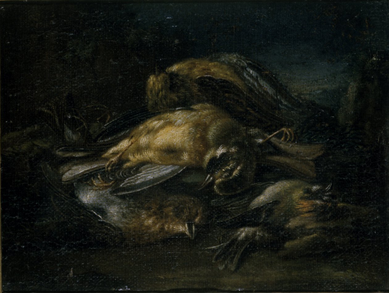 Kuollut lintu, 1664 tekijältä Giovanni Benedetto Castiglione
