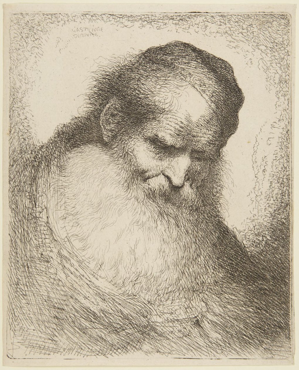 Parrakkaan vanhan miehen pää tekijältä Giovanni Benedetto Castiglione