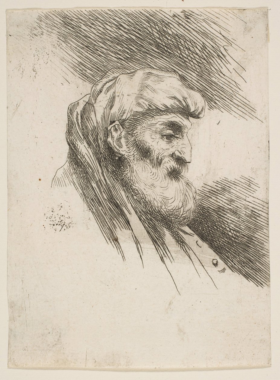 Vanhan parrakkaan miehen pää oikealle, sarjasta Small Heads in Orien..., n. 1645-1650. tekijältä Giovanni Benedetto Castiglione
