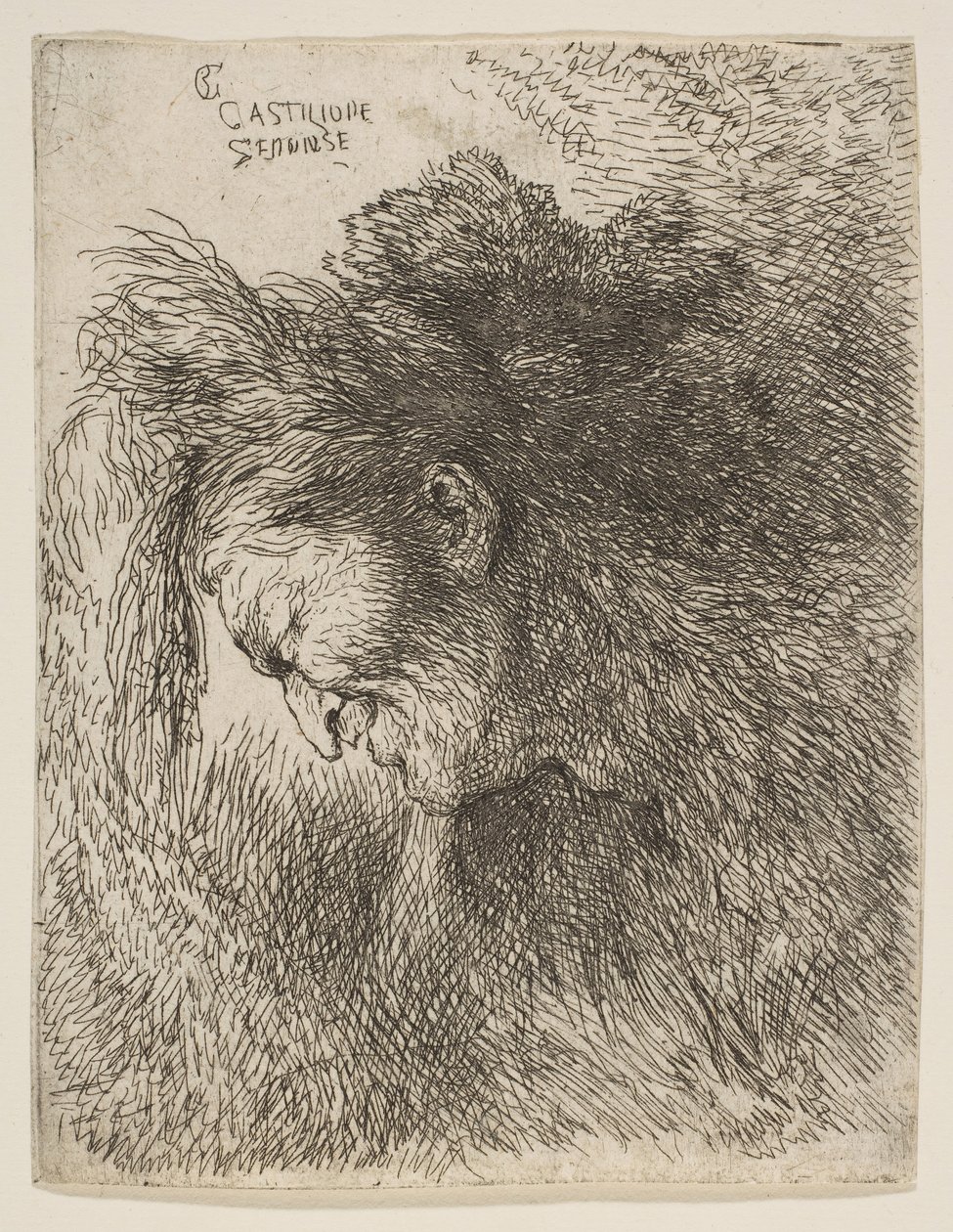 Alaspäin katsovan vanhan miehen pää vasemmalle, sarjasta Pienet päät ..., noin. 1645-1650. tekijältä Giovanni Benedetto Castiglione