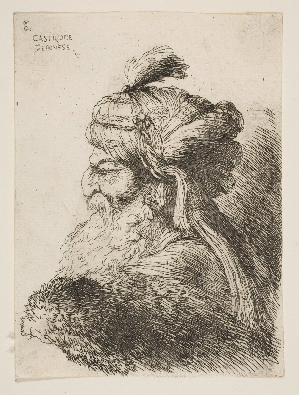 Vanhan miehen pää, jolla on turbaani vasemmalle, sarjasta Pienet päät ..., n. 1645-1650. tekijältä Giovanni Benedetto Castiglione