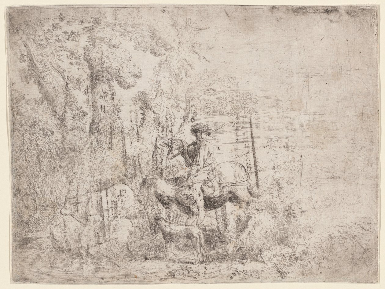 Nuori paimen hevosen selässä tekijältä Giovanni Benedetto Castiglione