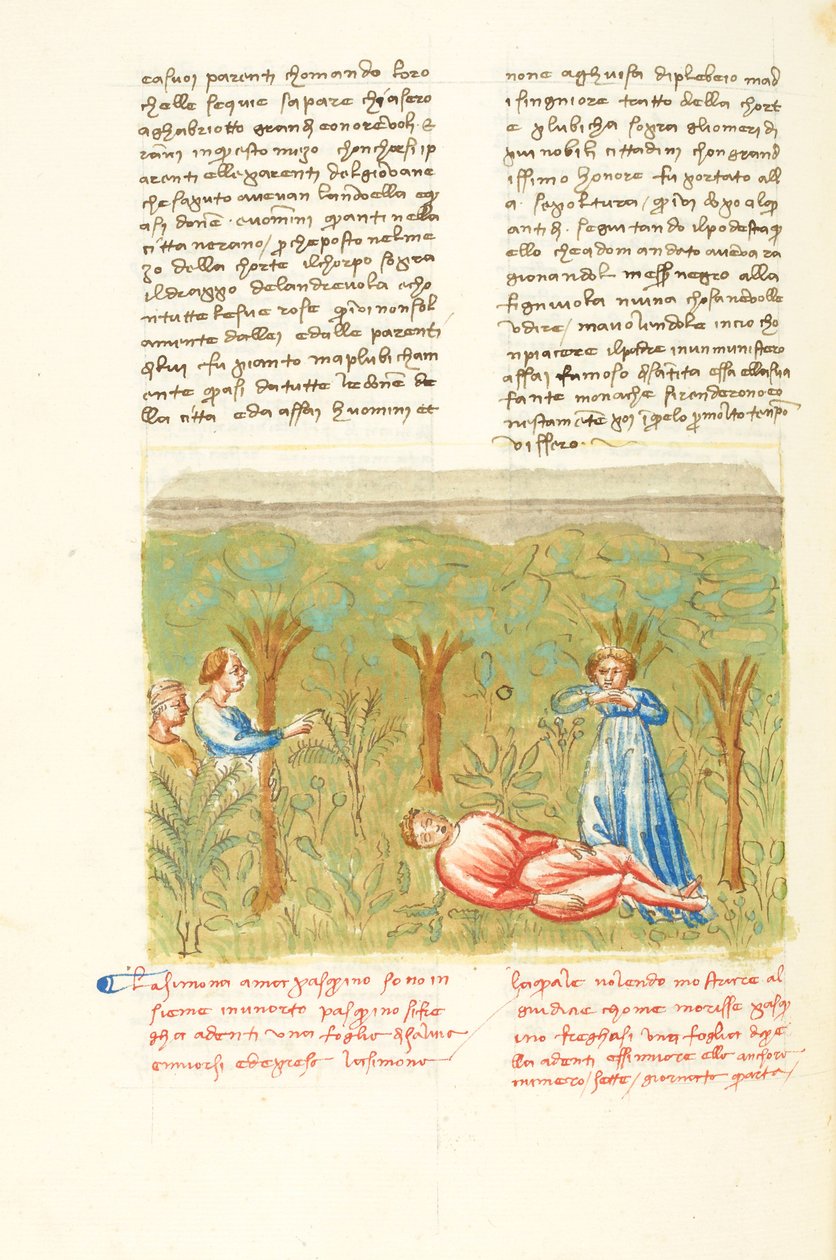 Dekameron, Salvia-kasvi - Pasquinon kuolema , Neljäs päivä, novelli 7. tekijältä Giovanni Boccaccio