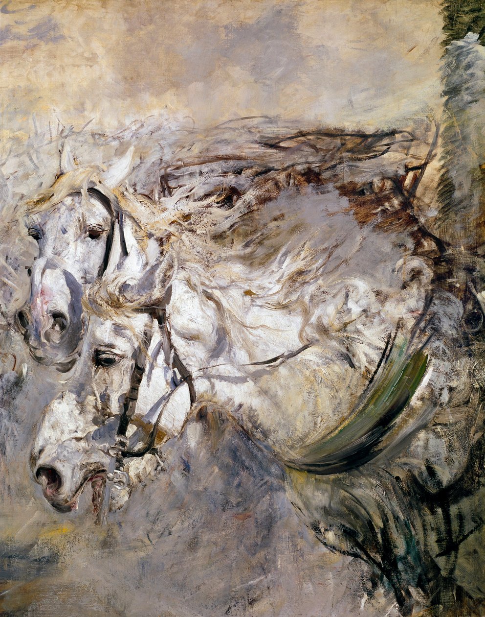 Giovanni Boldinin (1842-1931) maalaus Kaksi valkoista hevosta 1874 Koko 153x122 cm Pistoia, Boldini Collection tekijältä Giovanni Boldini