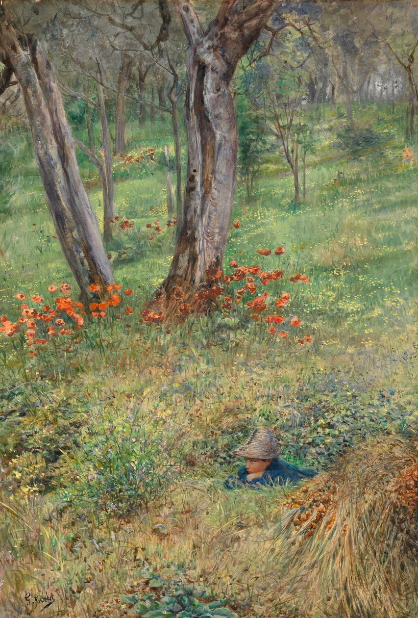 Woodland Hideout (wc paperilla) tekijältä Giovanni Costa