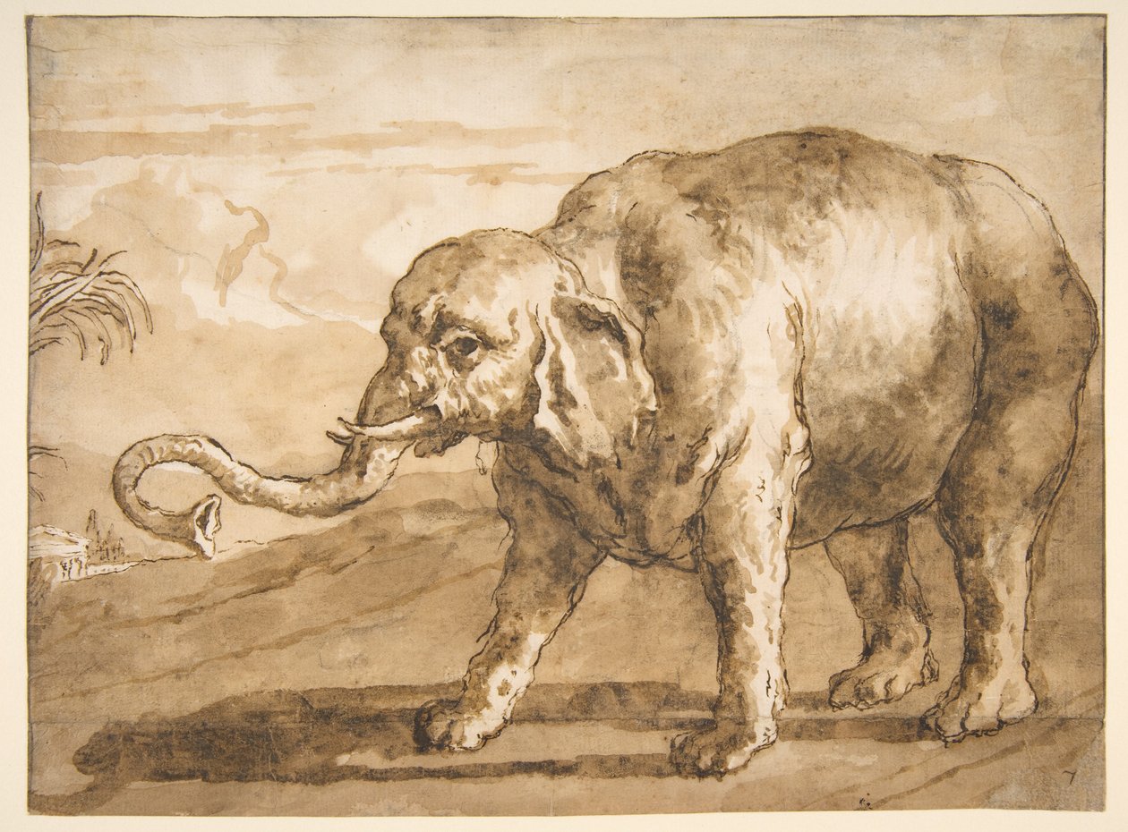 Norsu maisemassa tekijältä Giovanni Domenico Tiepolo