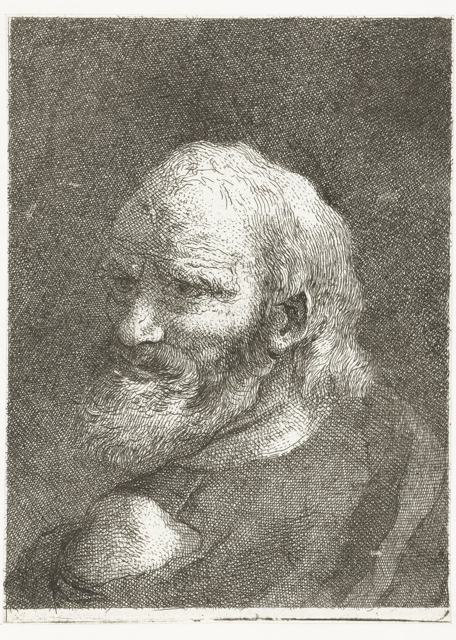 Mies paljas olkapää Pääkokoelma (sarjan nimi) Raccolta di Teste (sarjan nimi) tekijältä Giovanni Domenico Tiepolo