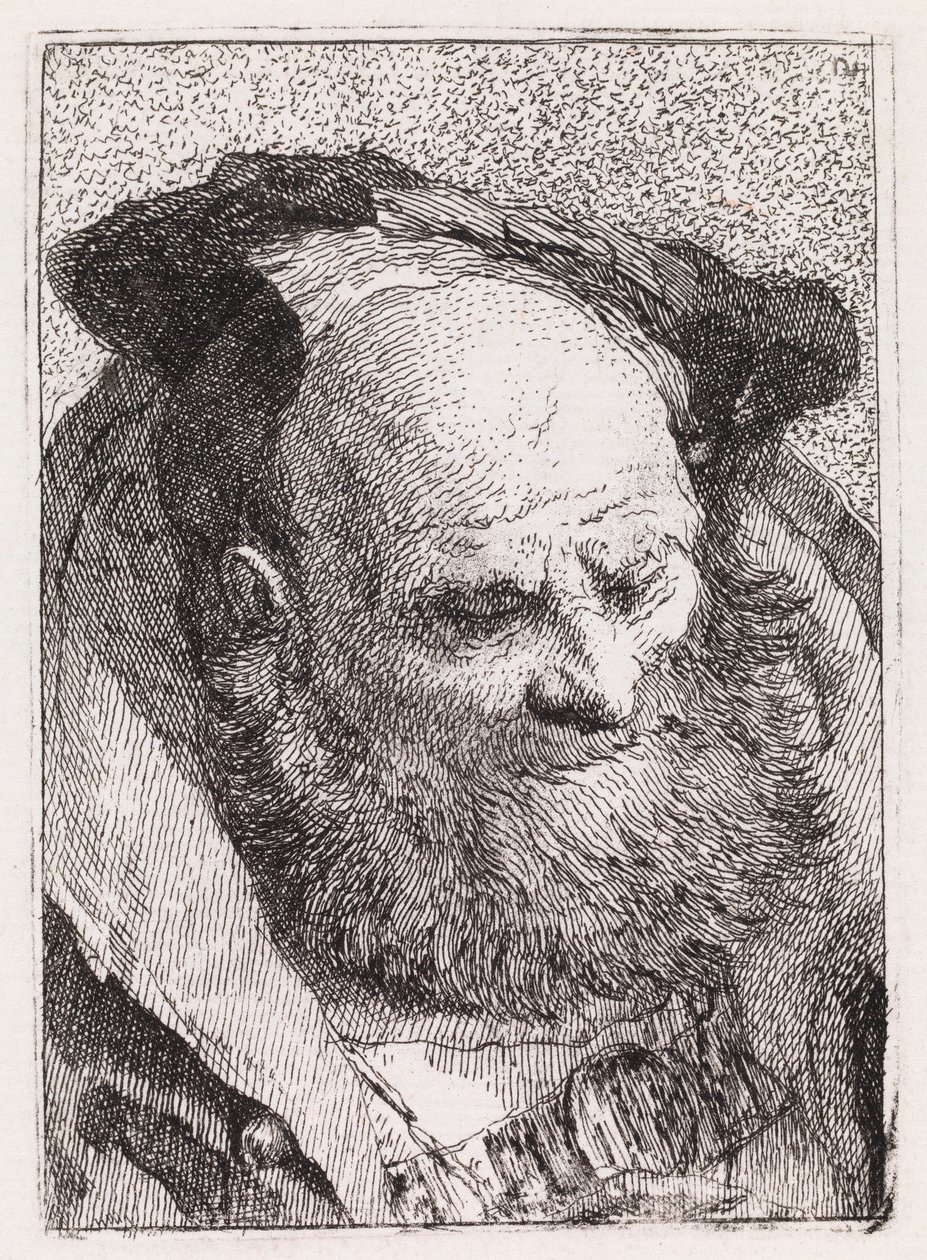 Partainen vanha mies tekijältä Giovanni Domenico Tiepolo