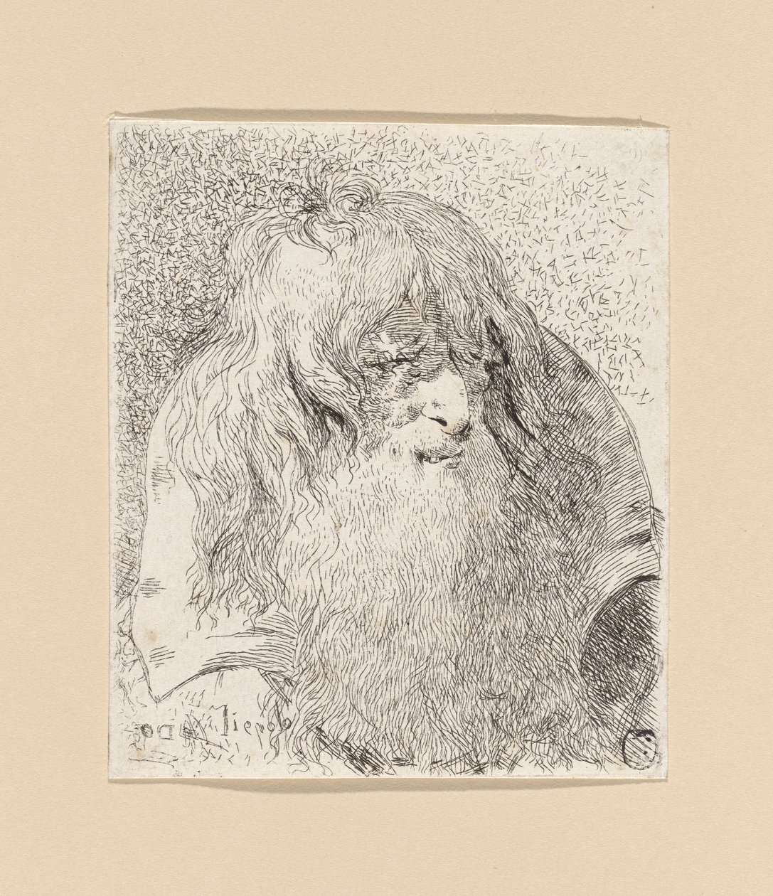 Vanhus, jolla on parta ja pitkät hiukset, Raccolta di Testestä (Pääkokoelma) tekijältä Giovanni Domenico Tiepolo