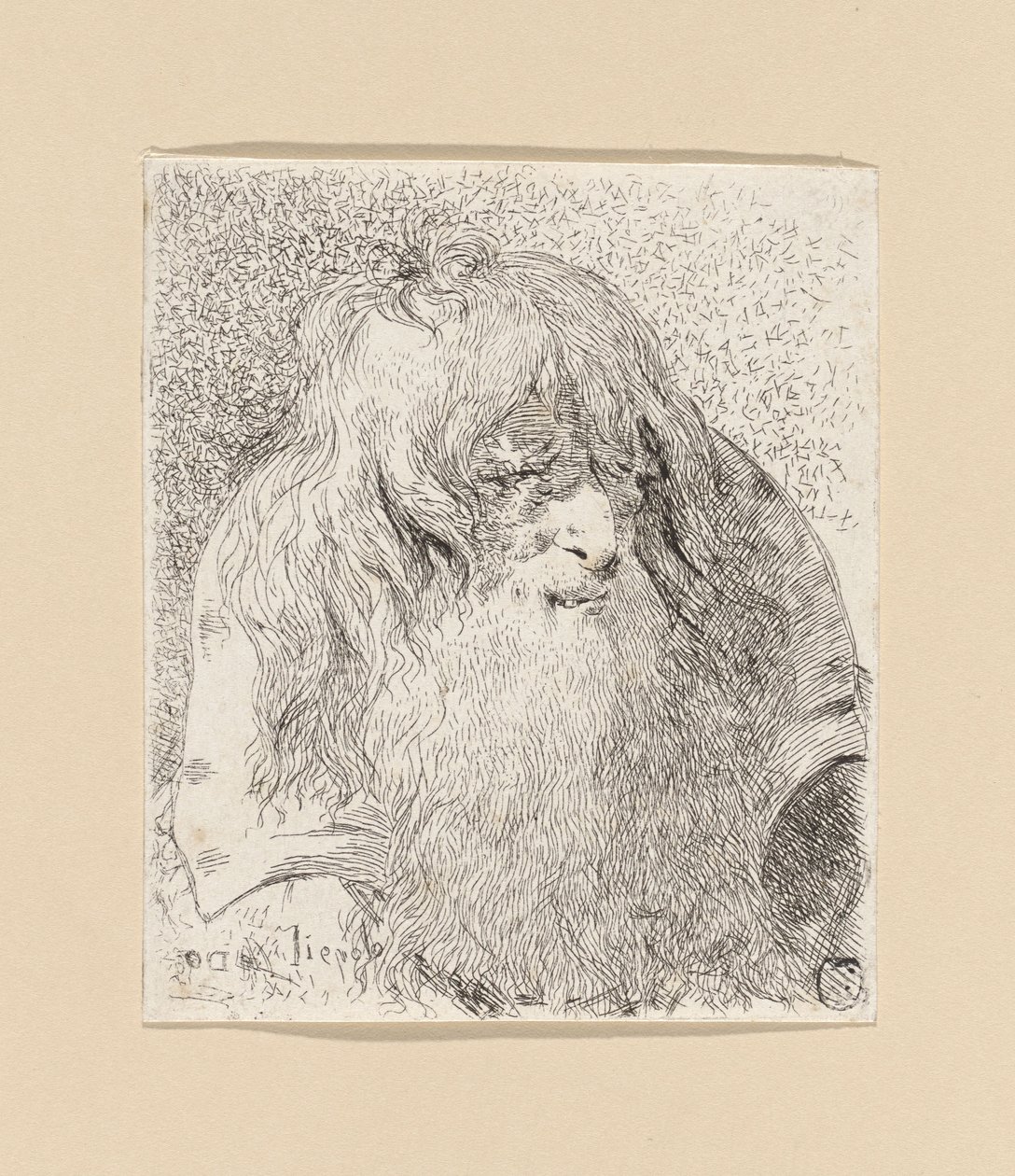 Partainen ja pitkäkarvainen vanha mies, teoksesta Raccolta di Teste (Pääkokoelma) tekijältä Giovanni Domenico Tiepolo