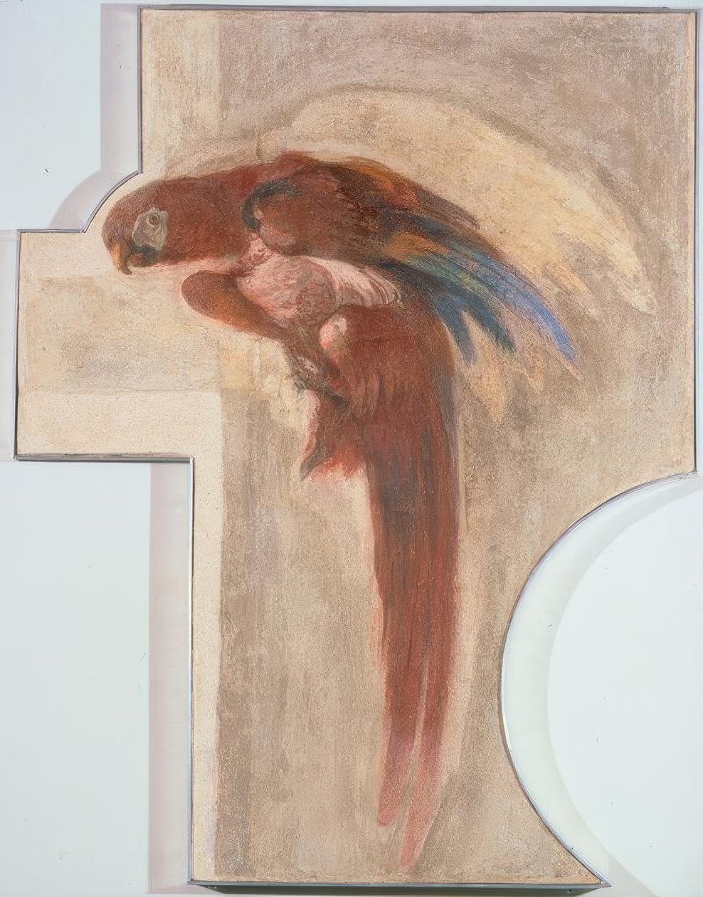 Papagei tekijältä Giovanni Domenico Tiepolo