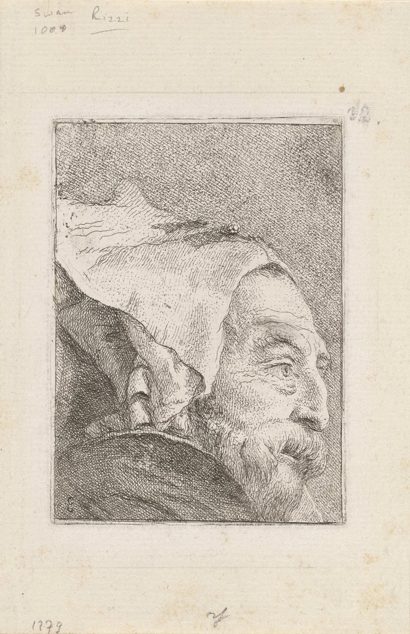 Vanhan miehen profiili, Raccolta di Teste (Pääkokoelma) tekijältä Giovanni Domenico Tiepolo