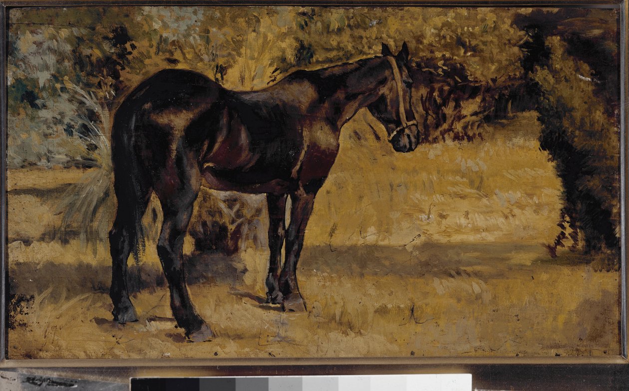 Dark horse (öljy kankaalle tekijältä Giovanni Fattori
