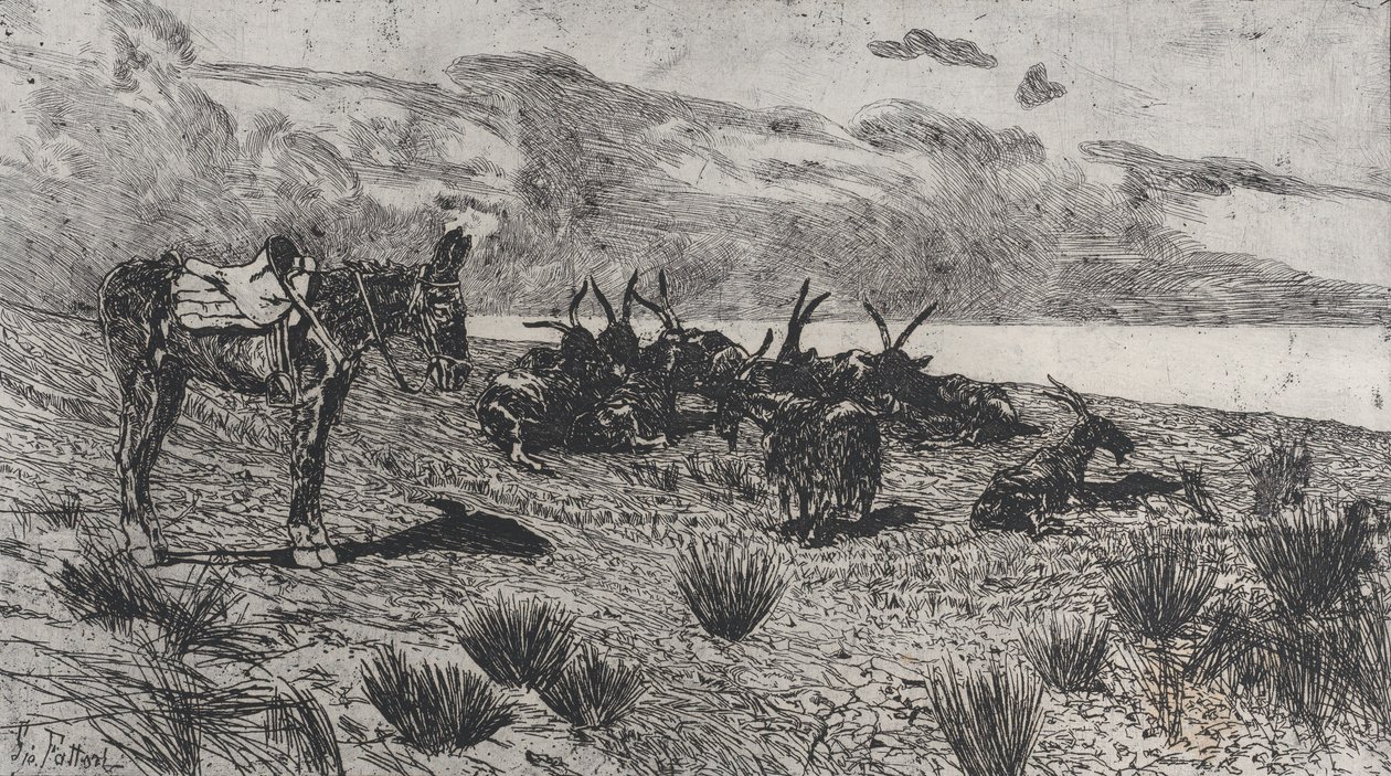Aasi ja vuohet meren rannalla talvella, 1884-1908. tekijältä Giovanni Fattori