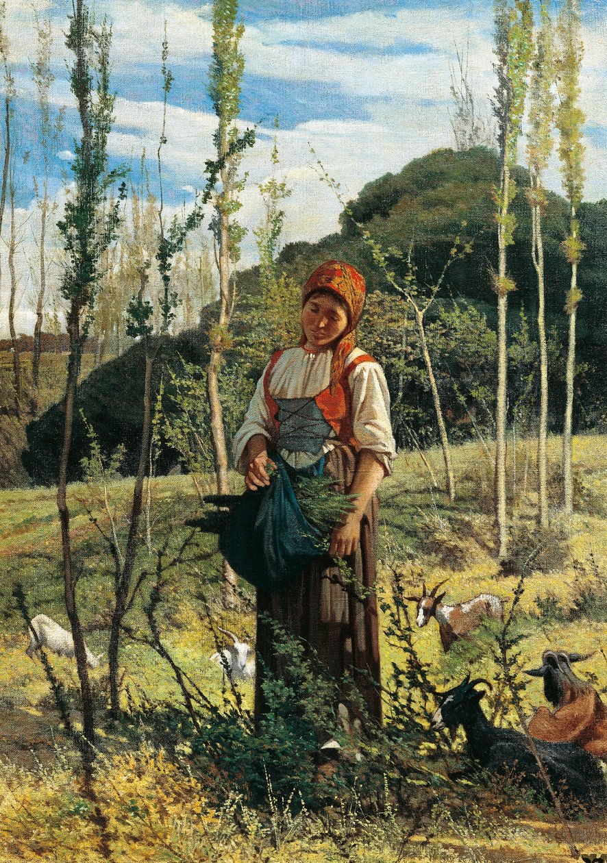 Maanviljelijä puussa tekijältä Giovanni Fattori