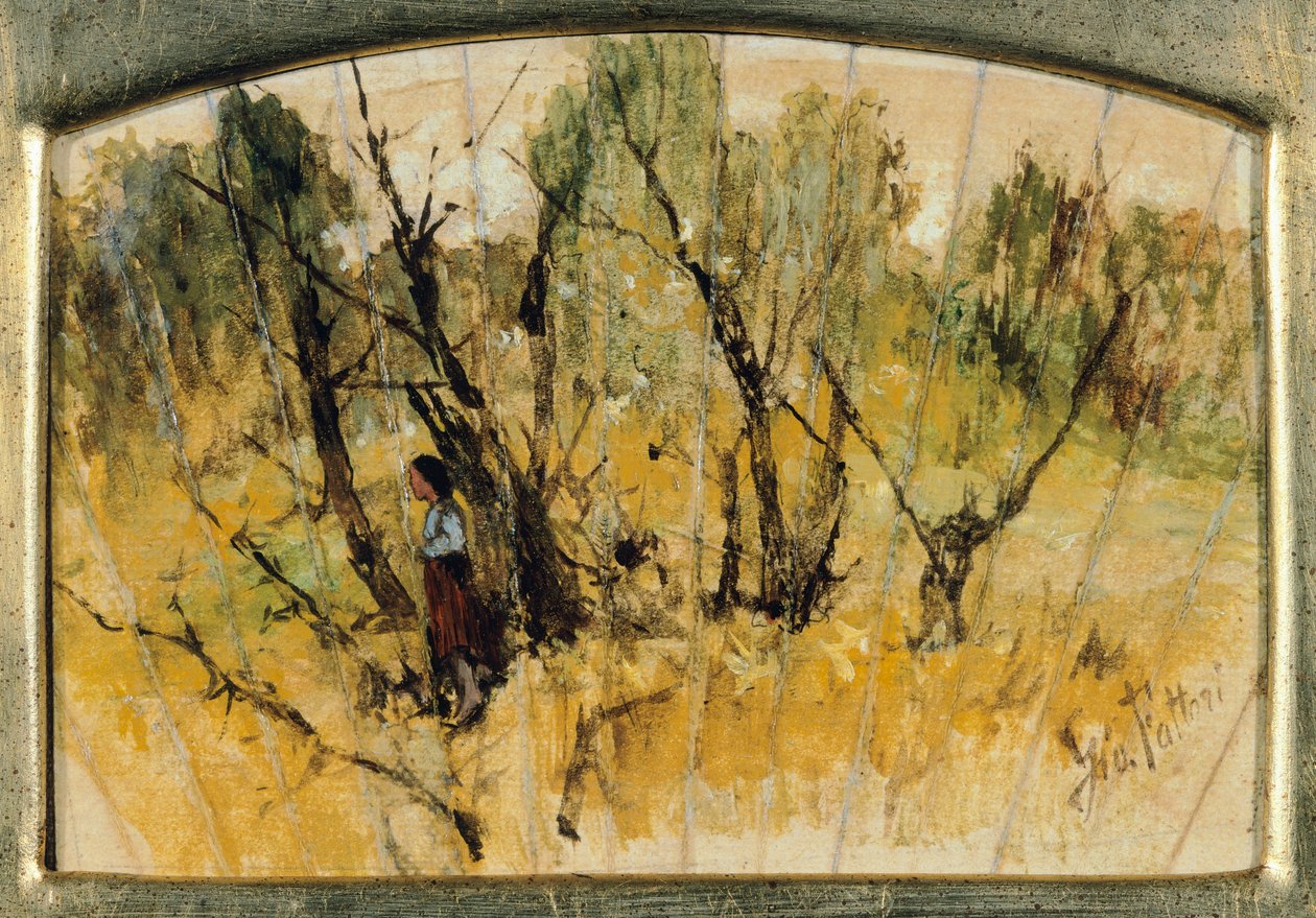 Metsä hahmolla, Viuhkatutkimus, Giovanni Fattori, öljy paperille kankaalle tekijältä Giovanni Fattori