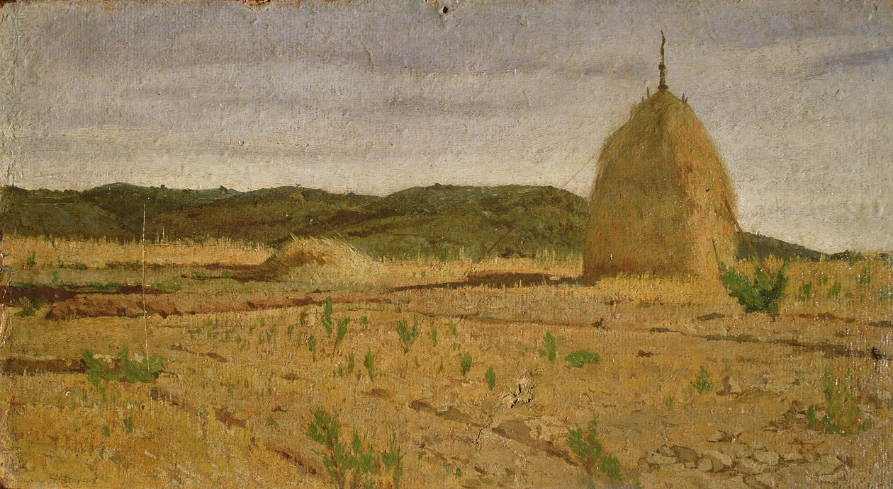 On pino, 18-60 tekijältä Giovanni Fattori