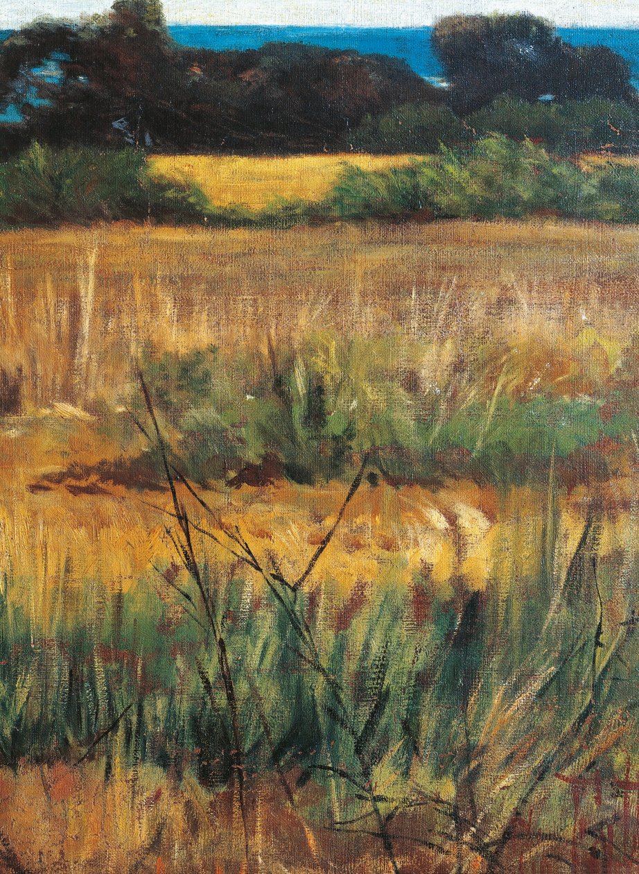 Italia, Firenze, Maremma Toscana, noin 1894, yksityiskohta tekijältä Giovanni Fattori