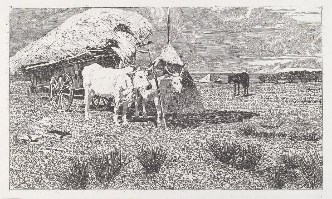 Kärryjen eteen valjastetut härät (Maremma) tekijältä Giovanni Fattori
