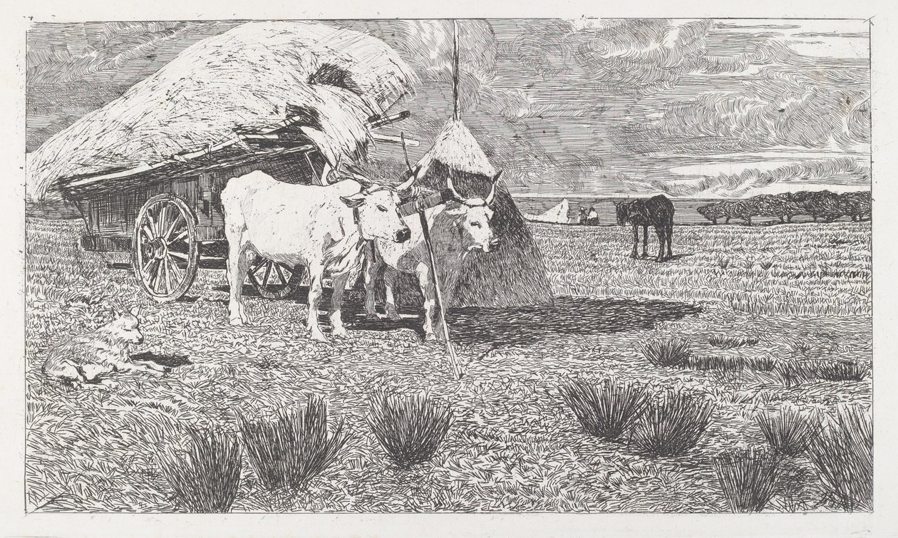 Härät kärryyn (Maremma) [Bovi al carro (Maremma)] tekijältä Giovanni Fattori